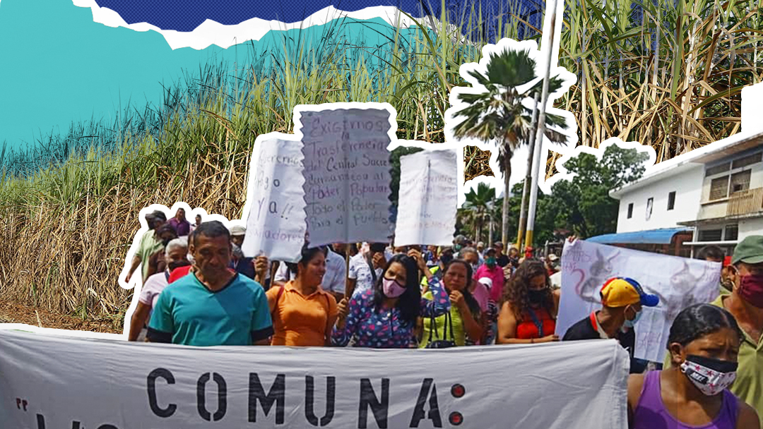 Estafa a los cañicultores de Cumanacoa: Una quiebra fraudulenta en 9 claves